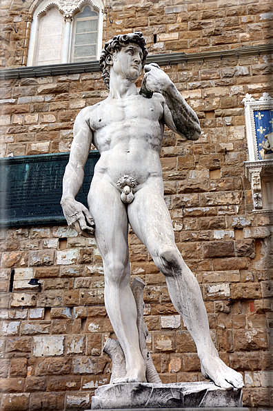 foto Piazza della Signoria